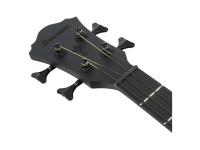 Ibanez AEGB420 Black Out Ibanez AEGB420 Black Out